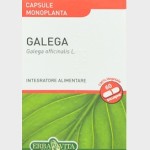 GALEGA 60 CAPSULE