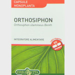 ORTHOSIPHON 60 CAPSULE