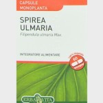 SPIREA ULMARIA 60 CAPSULE